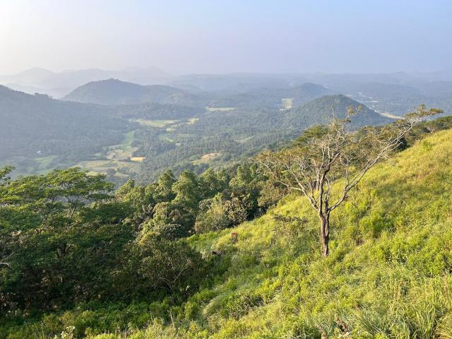 Three Creeks Matale