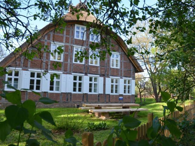 Holiday home Deichkind on the Elbe dike