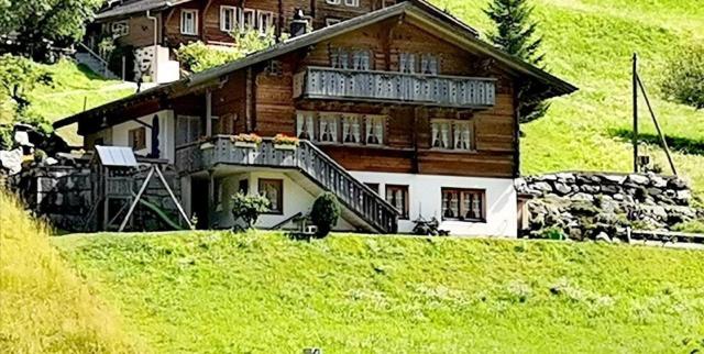 Neu eingerichtete Ferienwohnung im Haslital - b48815