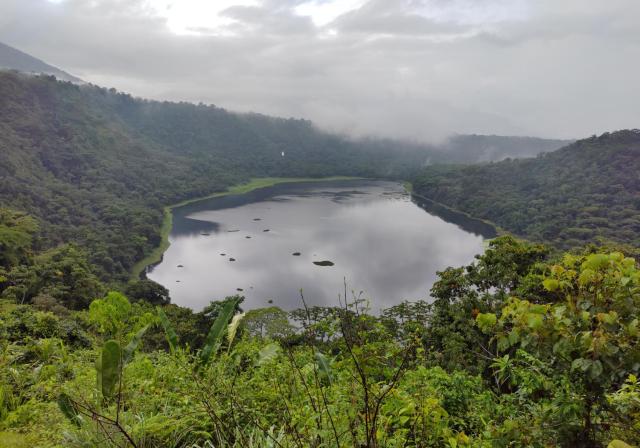 Hotel, Restaurante y Mirador Bosque Alegre