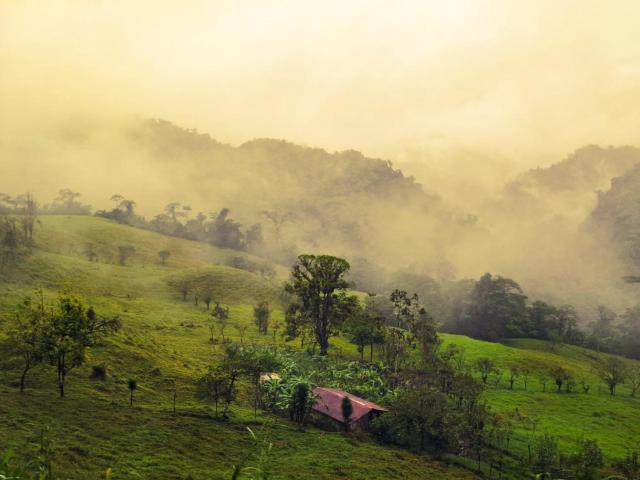 Finca Del Cielo