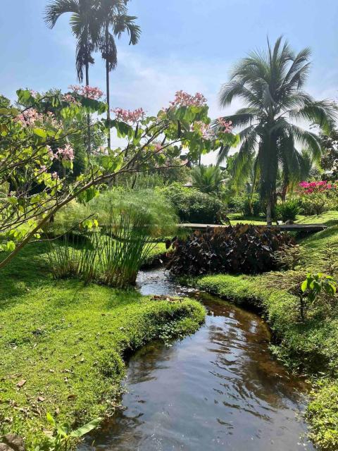 Casa Yami Lodge