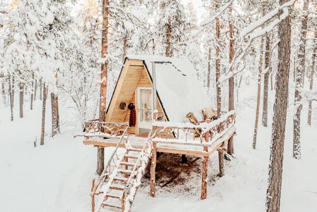 Cozy a-frame in the woods