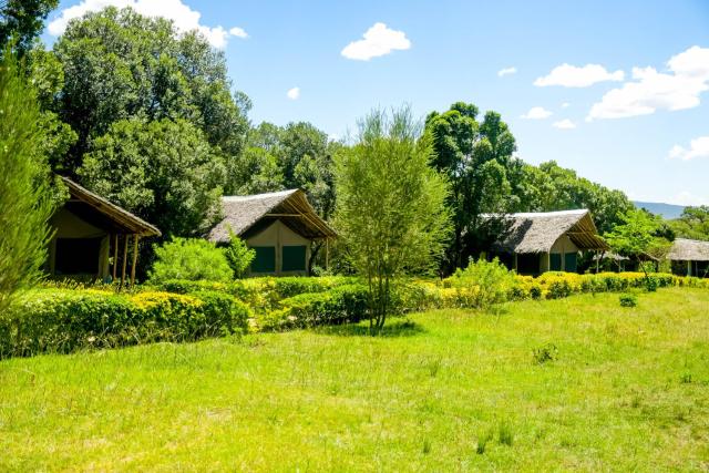 Giraffe Hills Mara Camp