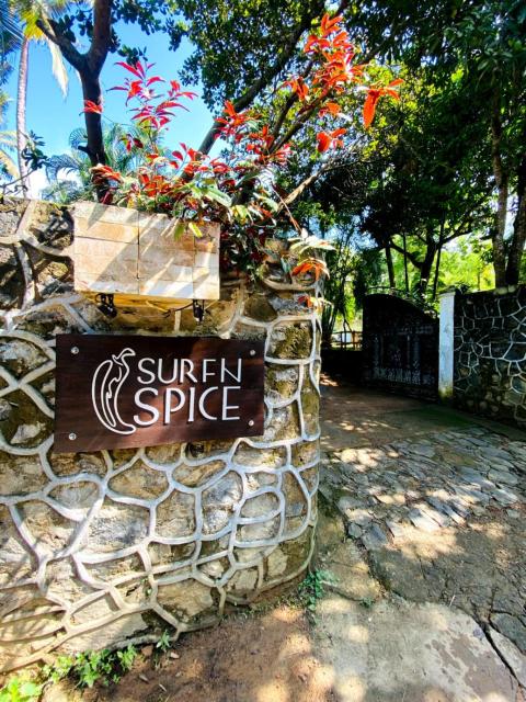 SURF N SPICE - HIRIKETiYA