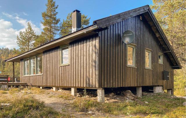 Awesome Home In Hovden I Setesdal