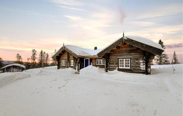 3 Bedroom Gorgeous Home In Sjusjøen