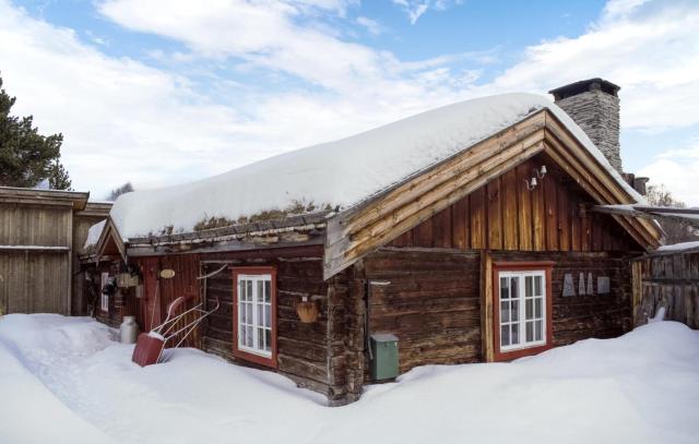 Gorgeous Home In Røros With Sauna