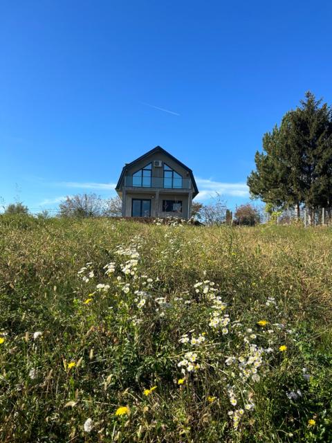 Fruska Gora Villa Medici