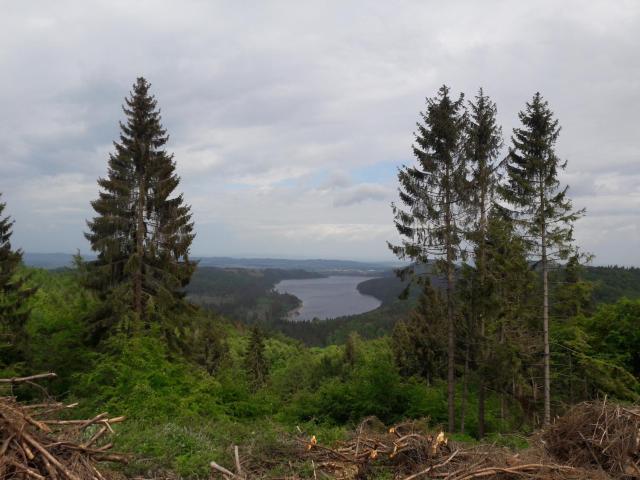 Ferienwohnung Weitblick