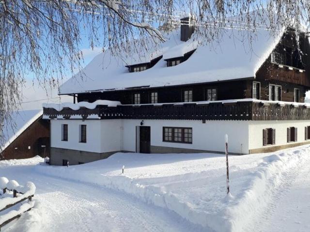 Holiday home Birkenhof in Afritz Verditz