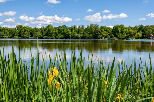 Fewo am Stadtsee - Bad Waldsee