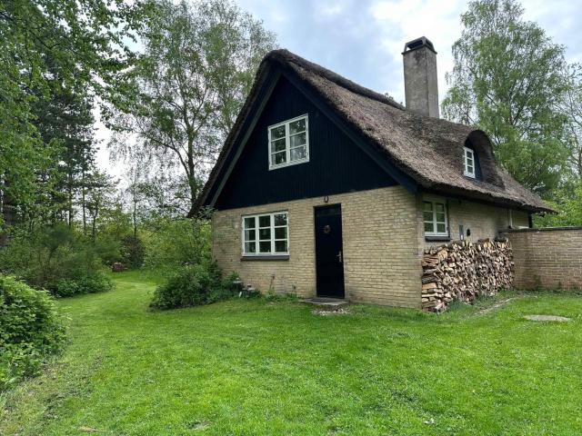 Cozy, Thatched Cottage With Modern Décor