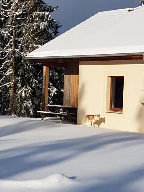 Chalet Beaujon Chapelle-des-Bois