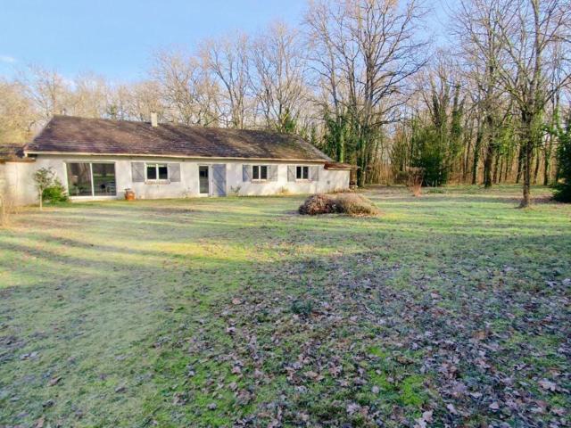 Gîte de charme avec étang en Sologne, tout inclus, proche châteaux de la Loire et randonnées - FR-1-491-418