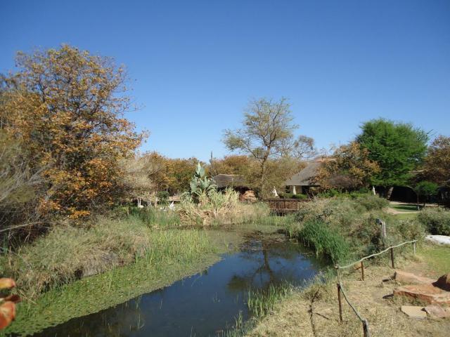 Phokoje Bush Lodge