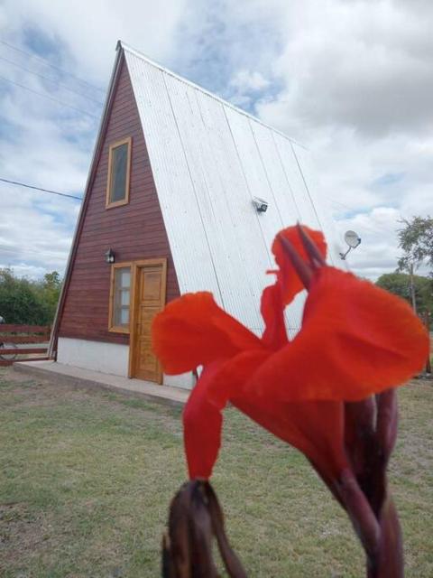 Amancay Cabaña alpina en Valle Fértil