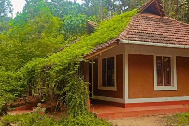 2Bhk River Side Cottage 11km Way From Ranipuram