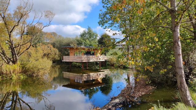 TinyHousebeiDresden 2 im Teich - Nähe Sächsische Schweiz, Dresden, mit Badeteich