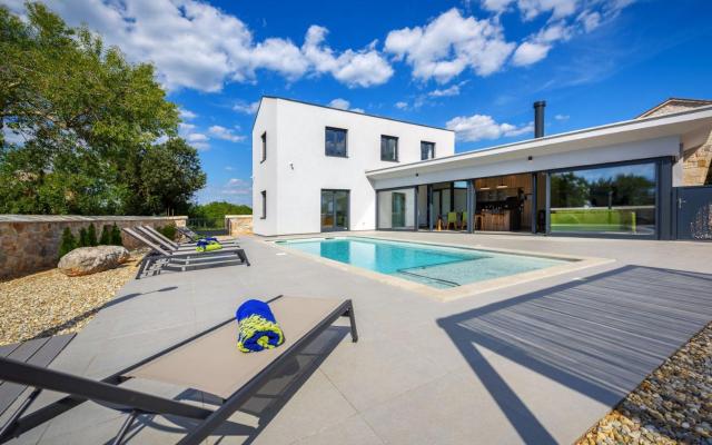 Beautiful Villa 115 with pool in Visnjan