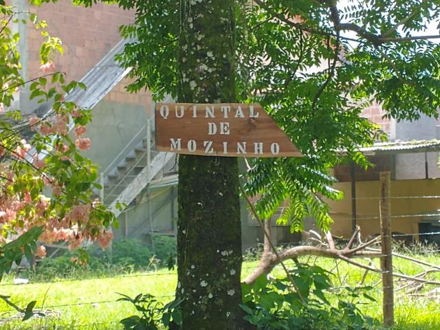 Quintal de Mozinho