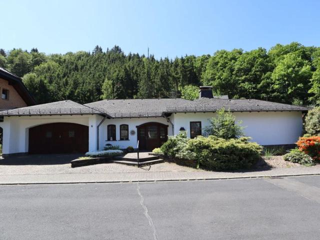 Holiday home Eifel with pool