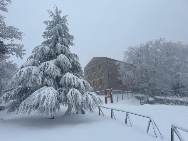 NEBRIS - Rifugio del Parco