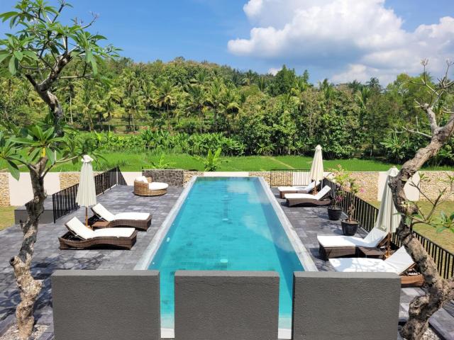 Villa Norwegia - pool with panorama rice field view