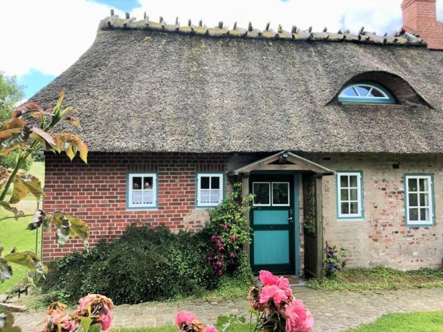 Reading roof cate Fuchsgraben