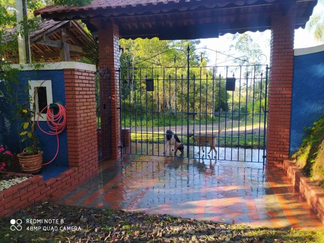 Kitnet em meio à mata Atlântica