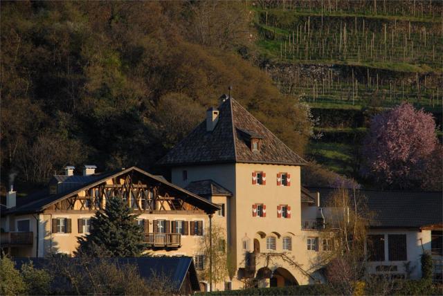 Weingut Köfelgut - Turris Vini