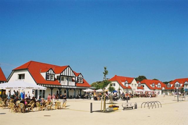 Fewo 06 Mantelmöwemit Blick auf Salzhaff und Ostsee