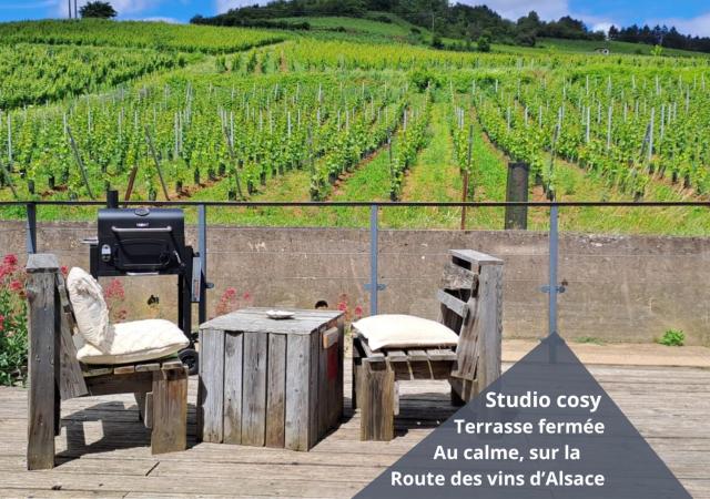 Au pied des vignes, cocon douillet et chaleureux !