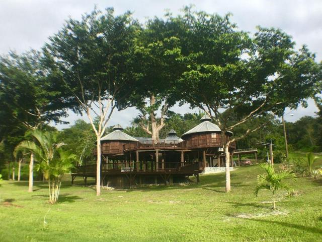 Exotic High End Unique Off-The-Grid Treehouse, steps away from the Mopan River!