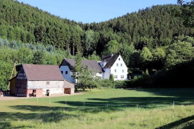 Ferienwohnung 1 Hof-Waldwinkel