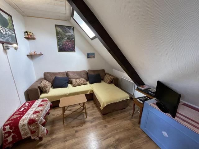 Studio Expo Sud au pied des pistes, 2* avec cuisine équipée, TV et lave-linge - Laveissière - FR-1-787-3