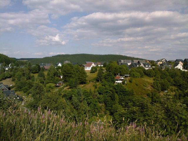 Waldblick - a48825