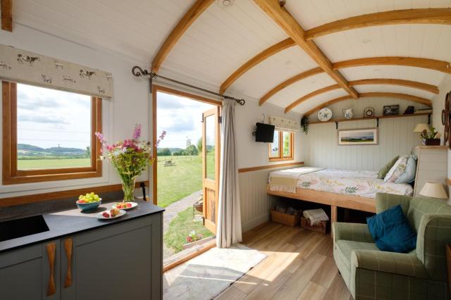 The Acorn - Luxury Shepherds Hut hot tub panoramic views