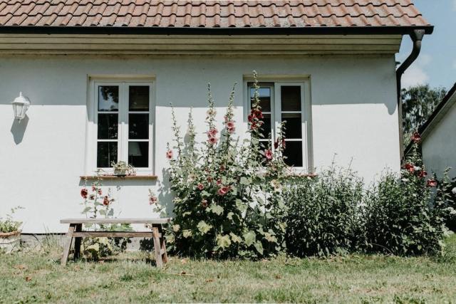 Gutshaus Krimvitz Ferienwohnung auf Rügen