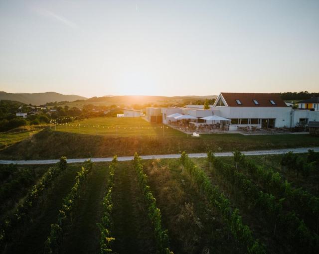 WEINBLICK & WEINGUT Grafinger