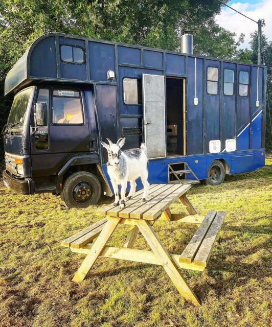 North Yorkshire Horse Box