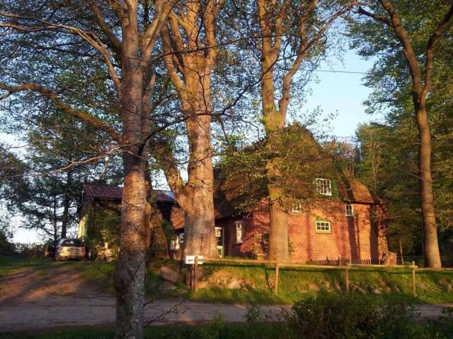 Romantic thatched roof house