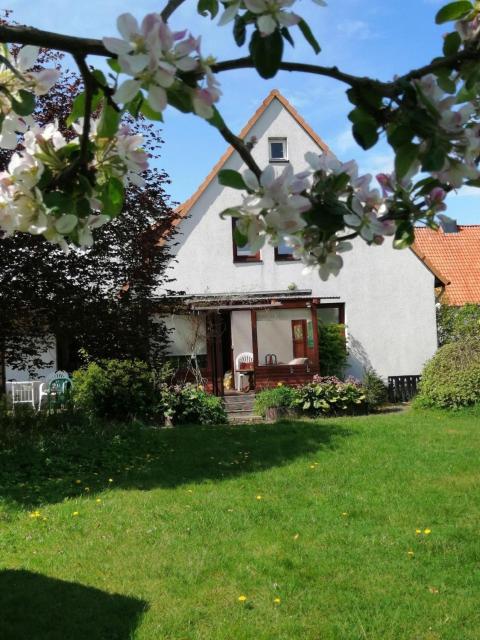 Freistehendes Ferienhaus in Adendorf mit Terrasse, Grill und Garten - b48664