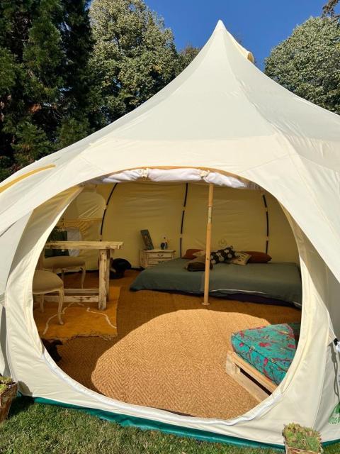 Dealettante glamping