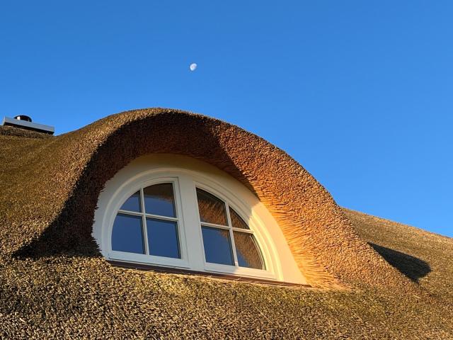 MeerZeit mit Sauna und Seeblick