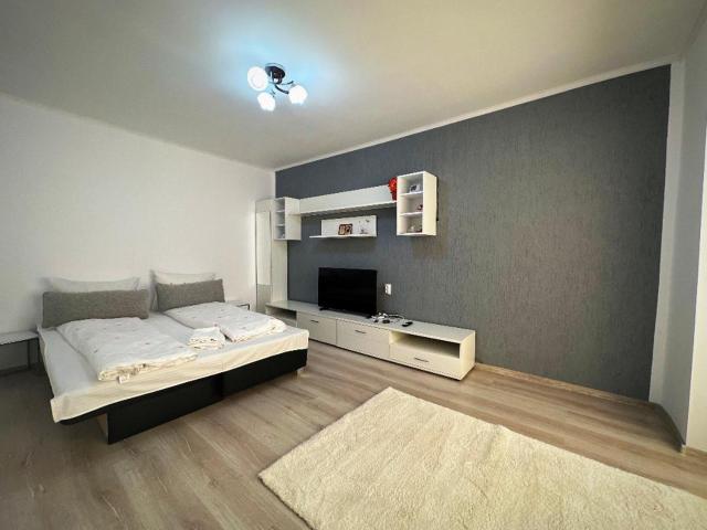 Apartament Dya HATEG 9