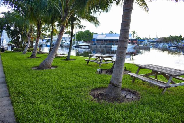 Sailfish Suites 2 - pet friendly & waterfront