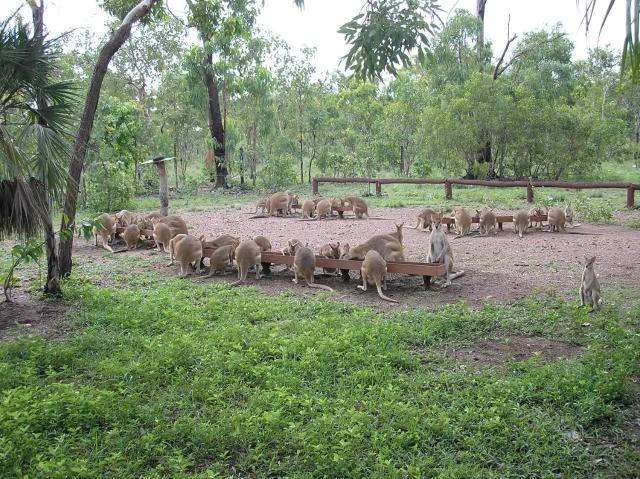 Nina's Ark Wildlife Sanctuary Package