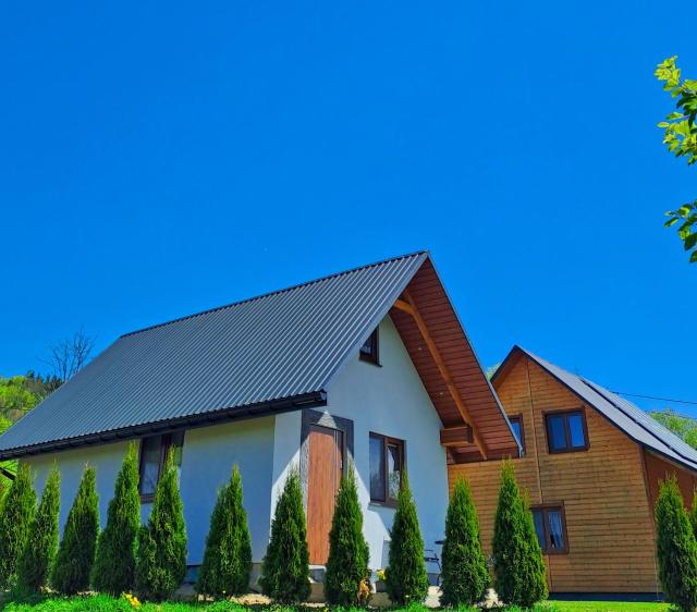 Ostoja Bieszczady Domek Całoroczny