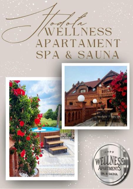 Wellness Apartment, Spa i Sauna